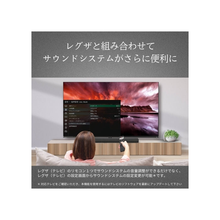 REGZAサウンドシステム TS3100Q