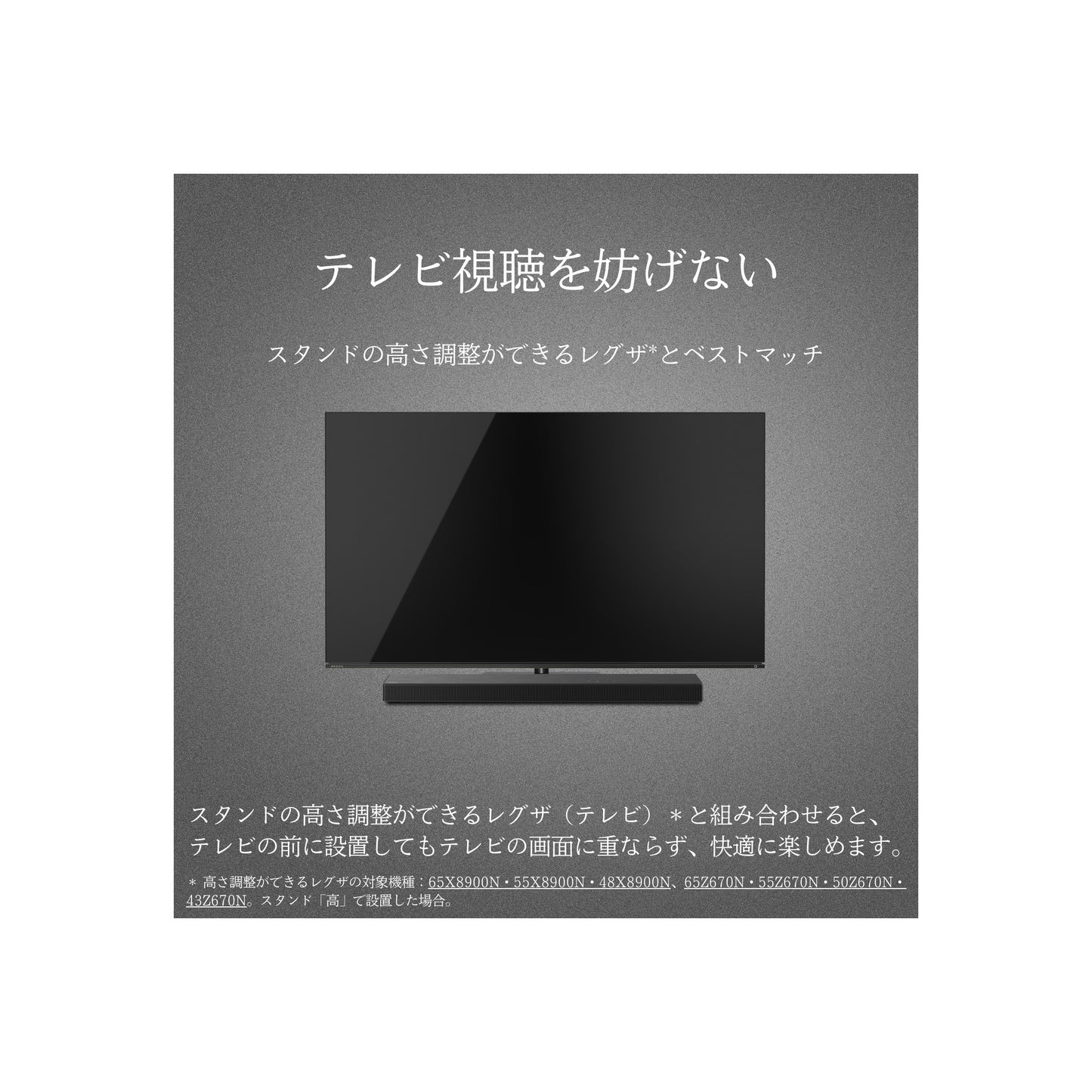 REGZAサウンドシステム TS216G