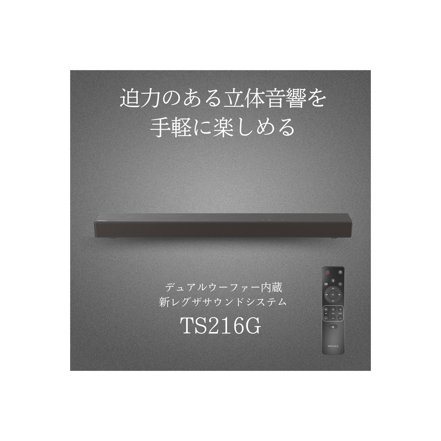 REGZAサウンドシステム TS216G