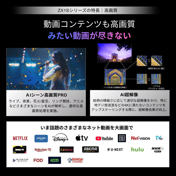 REGZA 100V型4K RGB Mini LED液晶テレビ　100ZX1S
