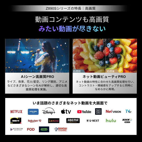 REGZA 75V型4K Mini LED液晶テレビ　75Z890S