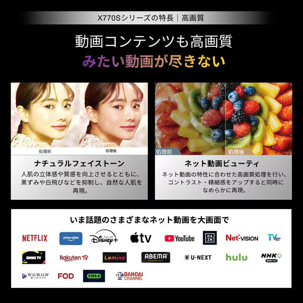 REGZA 65V型4K有機ELテレビ　65X770S